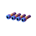 Peg Mount Bolts, Fits Any E-Moto