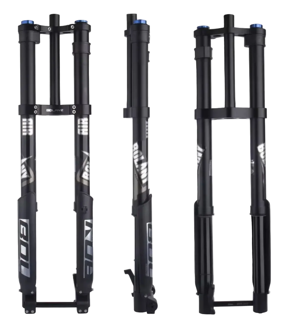 Dual Crown DH Forks